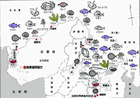 西山知義 日本魚種類